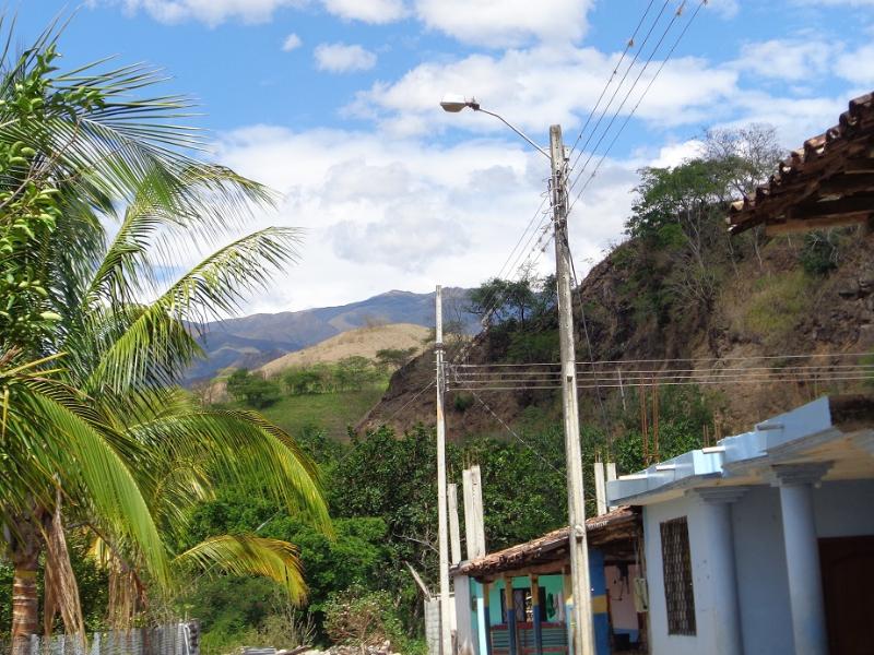 zapotillo
